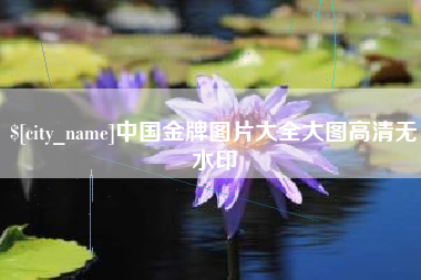 锦州中国金牌图片大全大图高清无水印