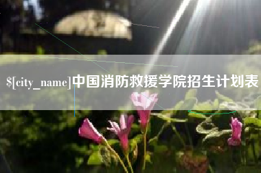 锦州中国消防救援学院招生计划表