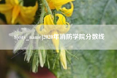 锦州2020年消防学院分数线
