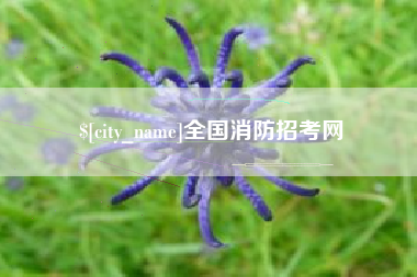 锦州全国消防招考网