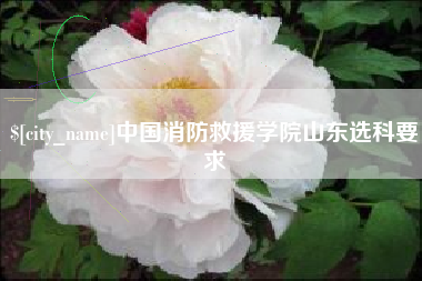 锦州中国消防救援学院山东选科要求