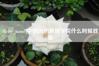 锦州中国消防救援学院什么时候政审