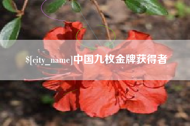 锦州中国九枚金牌获得者