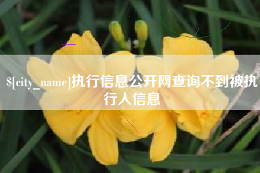 锦州执行信息公开网查询不到被执行人信息