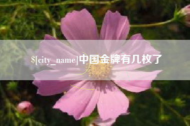 锦州中国金牌有几枚了