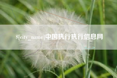 锦州中国执行执行信息网