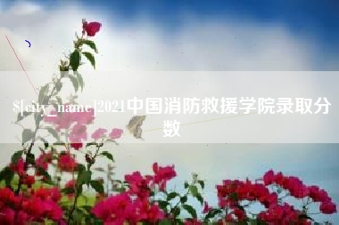锦州2021中国消防救援学院录取分数