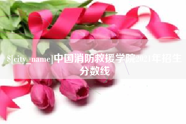 锦州中国消防救援学院2021年招生分数线