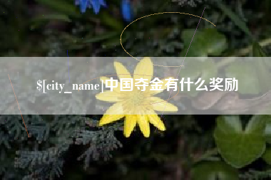 锦州中国夺金有什么奖励