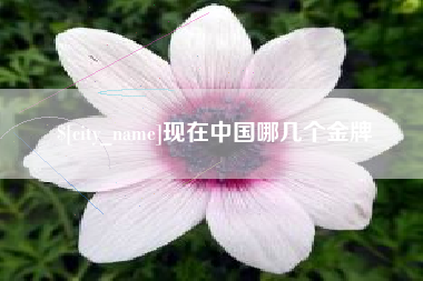 锦州现在中国哪几个金牌