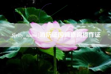 锦州消防证国网查询操作证