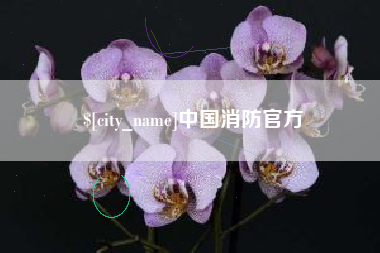 锦州中国消防官方
