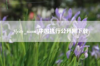 锦州中国执行公开网下载