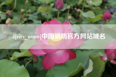 锦州中国消防官方网站域名