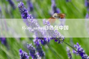 锦州白色在中国