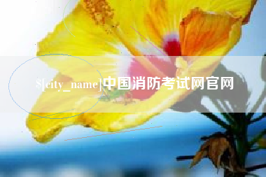 锦州中国消防考试网官网