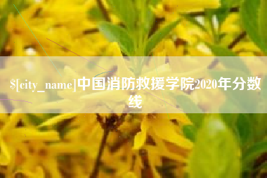 锦州中国消防救援学院2020年分数线