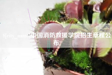 锦州中国消防救援学院招生章程公布!