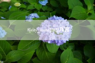 锦州2022九宫