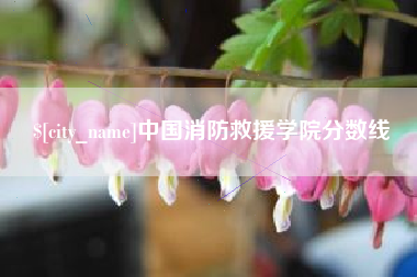 锦州中国消防救援学院分数线