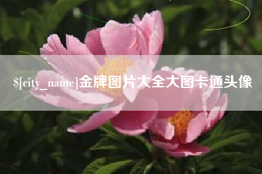 锦州金牌图片大全大图卡通头像