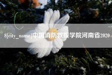 锦州中国消防救援学院河南省2020
